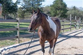 LR-WRF 10182025 Retreat-6484